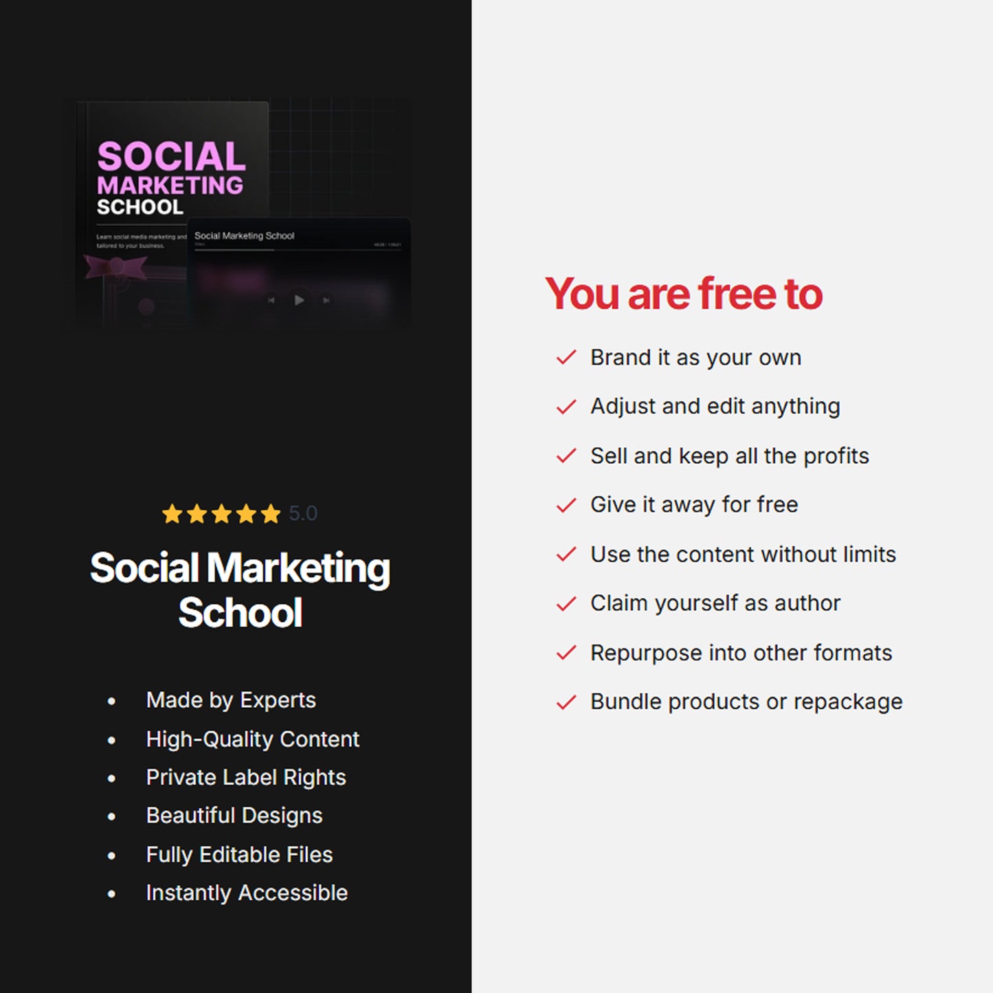 Social Marketing School | Ebook, Audio, Video Course | Social Media Strategy, Growth & Engagement Guide, Ultimate Social Media Masterclass