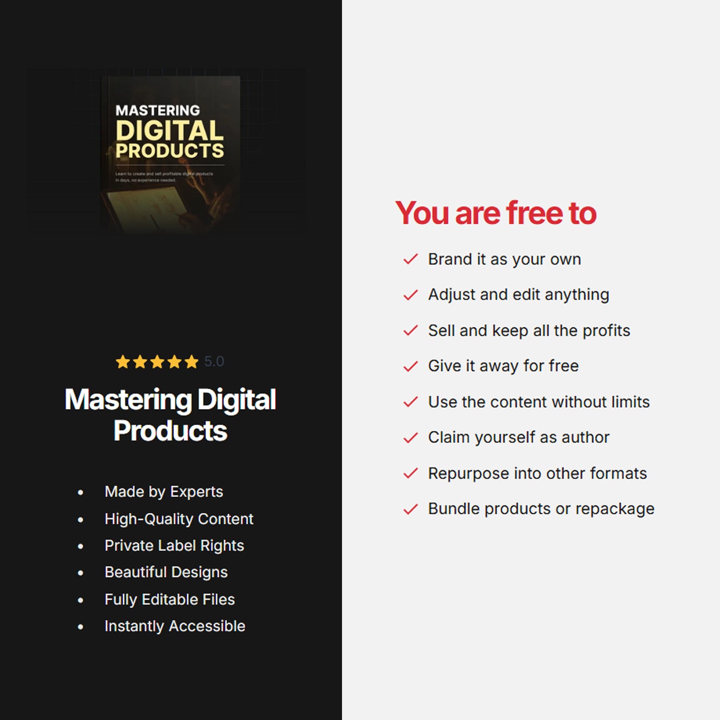 Mastering Digital Products | Ebook Guide | Create, Market & Automate Digital Products for Passive Income Success, Digital Products Guide