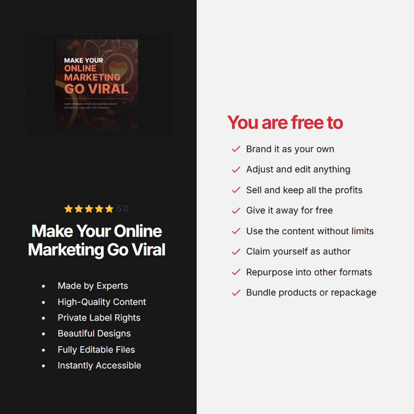 Make Your Online Marketing Go Viral | Ebook | Viral Campaign Strategies for Social Media, Emails & Videos, Online Business Building Guide
