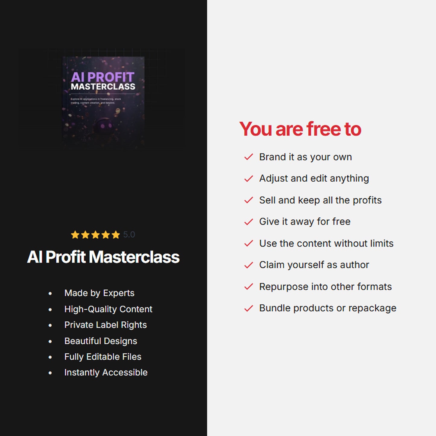 AI Profit Masterclass | Ebook & Checklist | Monetize AI for Side Hustles, Content Creation, Online Business, AI Guide with plr mrr