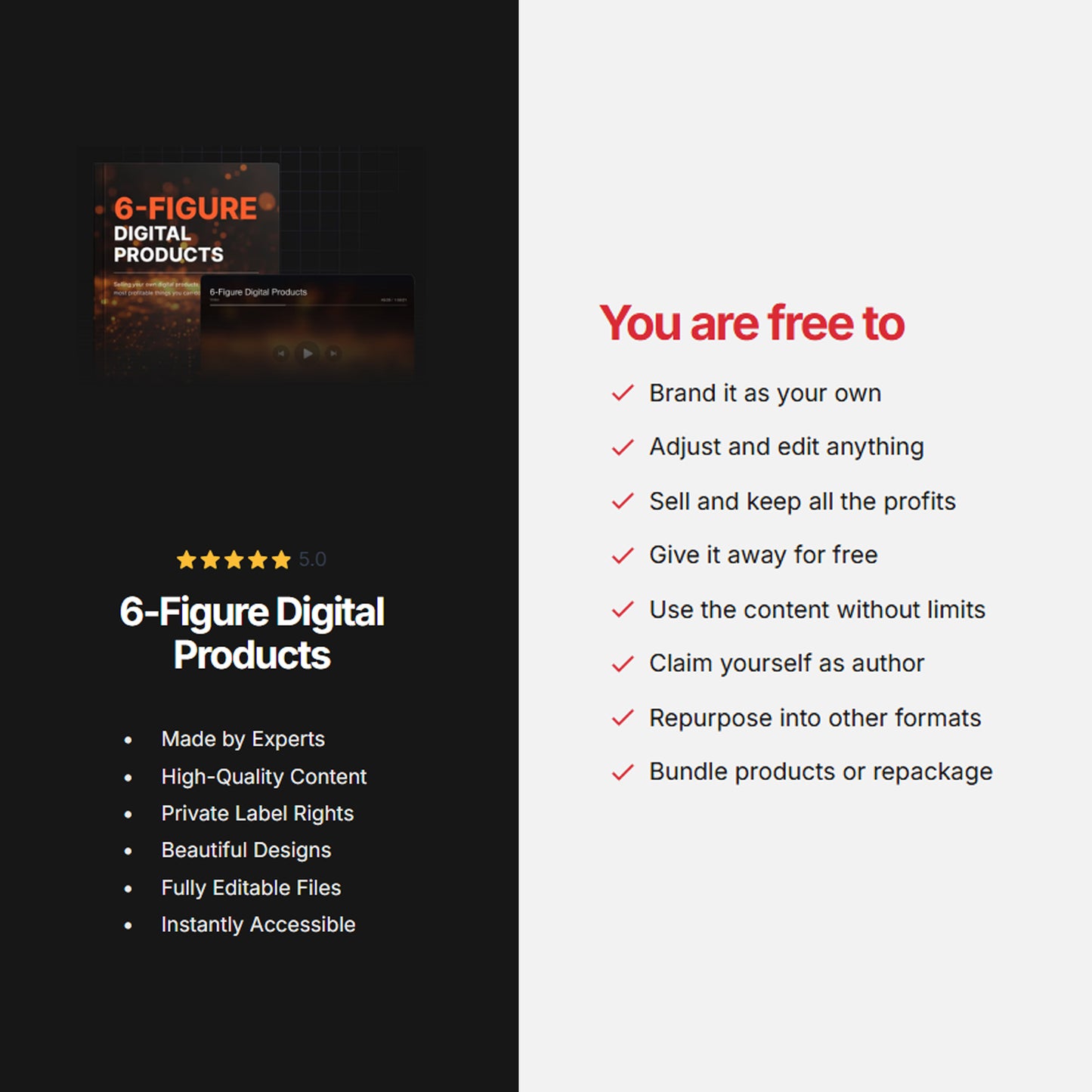 6 Figure Digital Products Guide | Ebook, Checklist, Audio, Video Course | Create Profitable Online Business & Passive Income