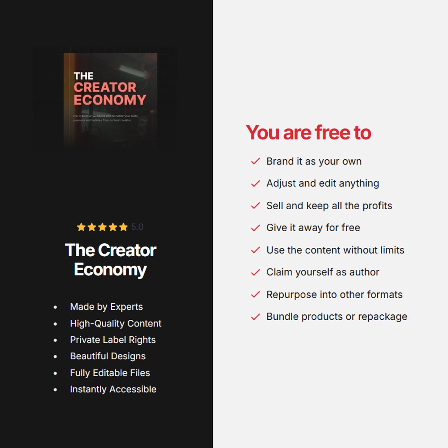 The Creator Economy
