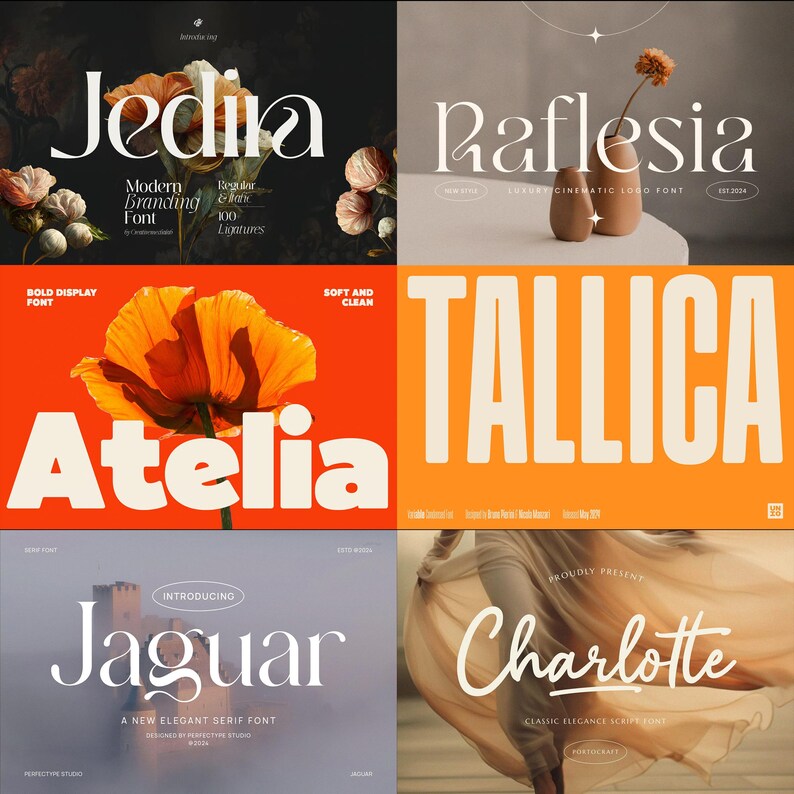 100+ Unique & Classy Modern Premium Font Bundle, Font Bundle, Elegant Font, Luxury Font, Logo Font, Wedding Font, Canva Font Collection