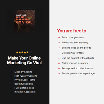 Make Your Online Marketing Go Viral | Ebook | Viral Campaign Strategies for Social Media, Emails & Videos, Online Business Building Guide