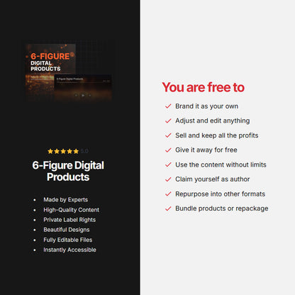 6 Figure Digital Products Guide | Ebook, Checklist, Audio, Video Course | Create Profitable Online Business & Passive Income