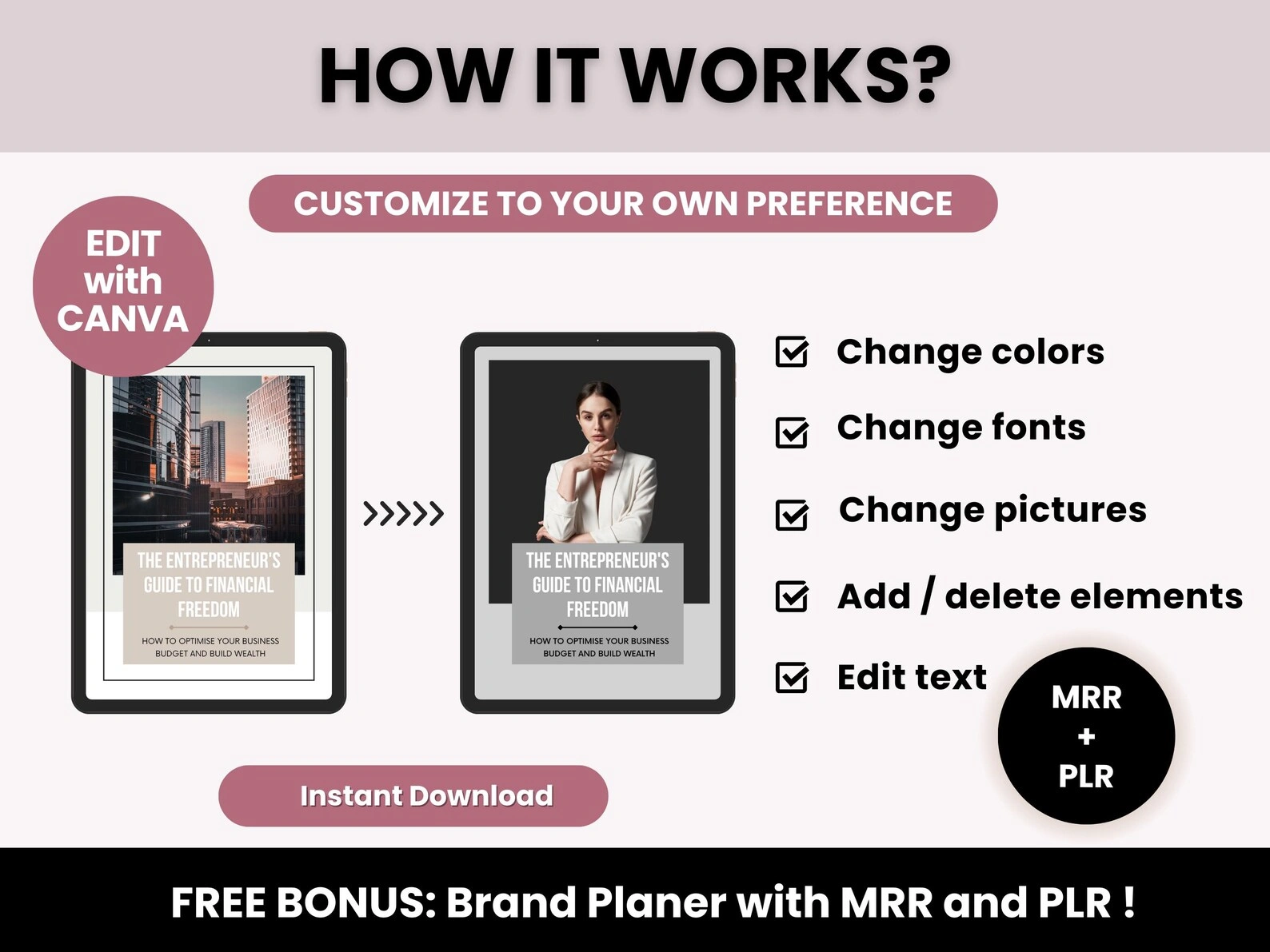 The Entrepreneur's Guide to Financial Freedom, 41-Page Wealth Building Roadmap, PLR & MRR 2025 Edition, Editable Canva Business Template - Image 3