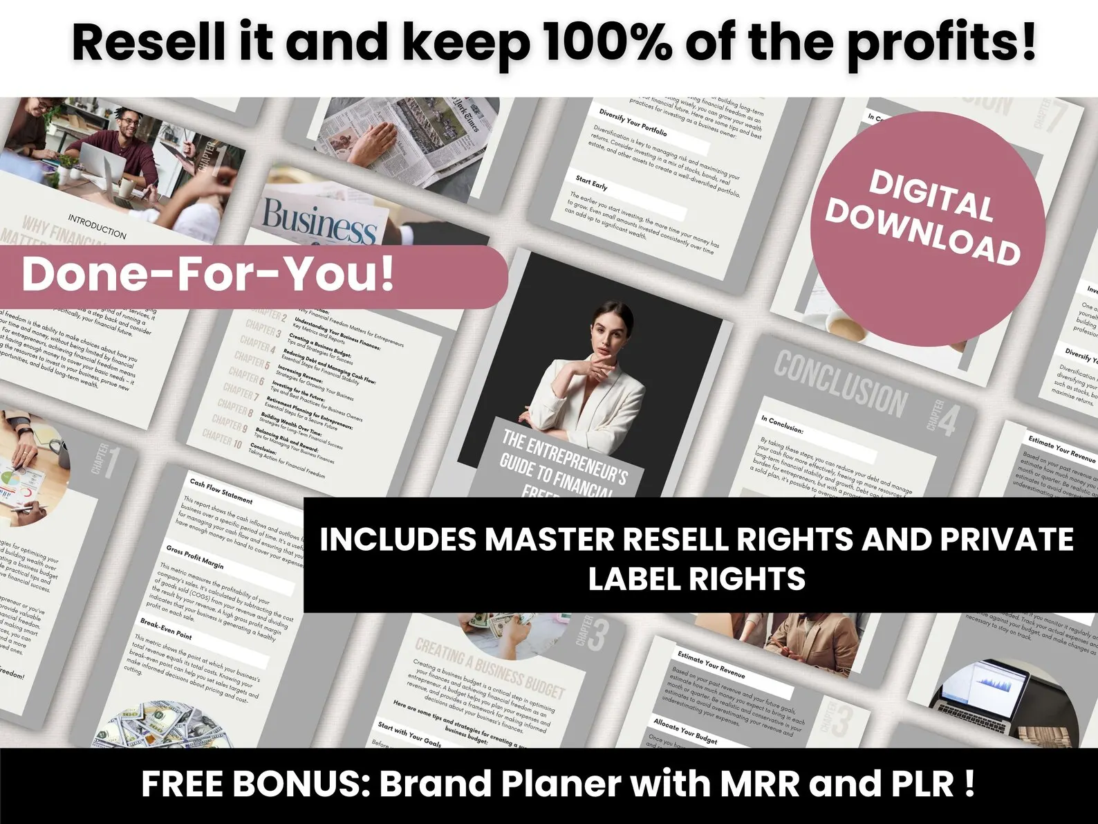 The Entrepreneur's Guide to Financial Freedom, 41-Page Wealth Building Roadmap, PLR & MRR 2025 Edition, Editable Canva Business Template - Image 4